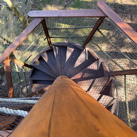 ホテル Treehouse U Rybnika Osecna エクステリア 写真