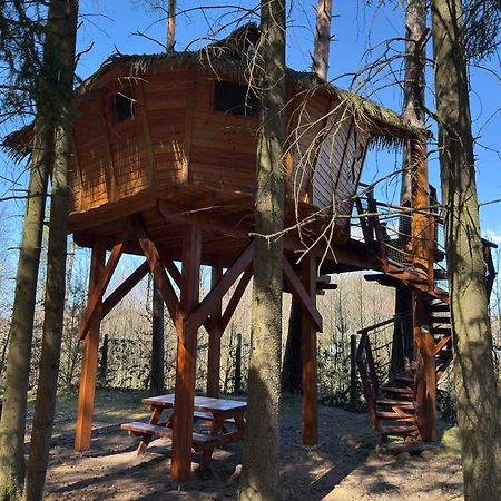 ホテル Treehouse U Rybnika Osecna エクステリア 写真