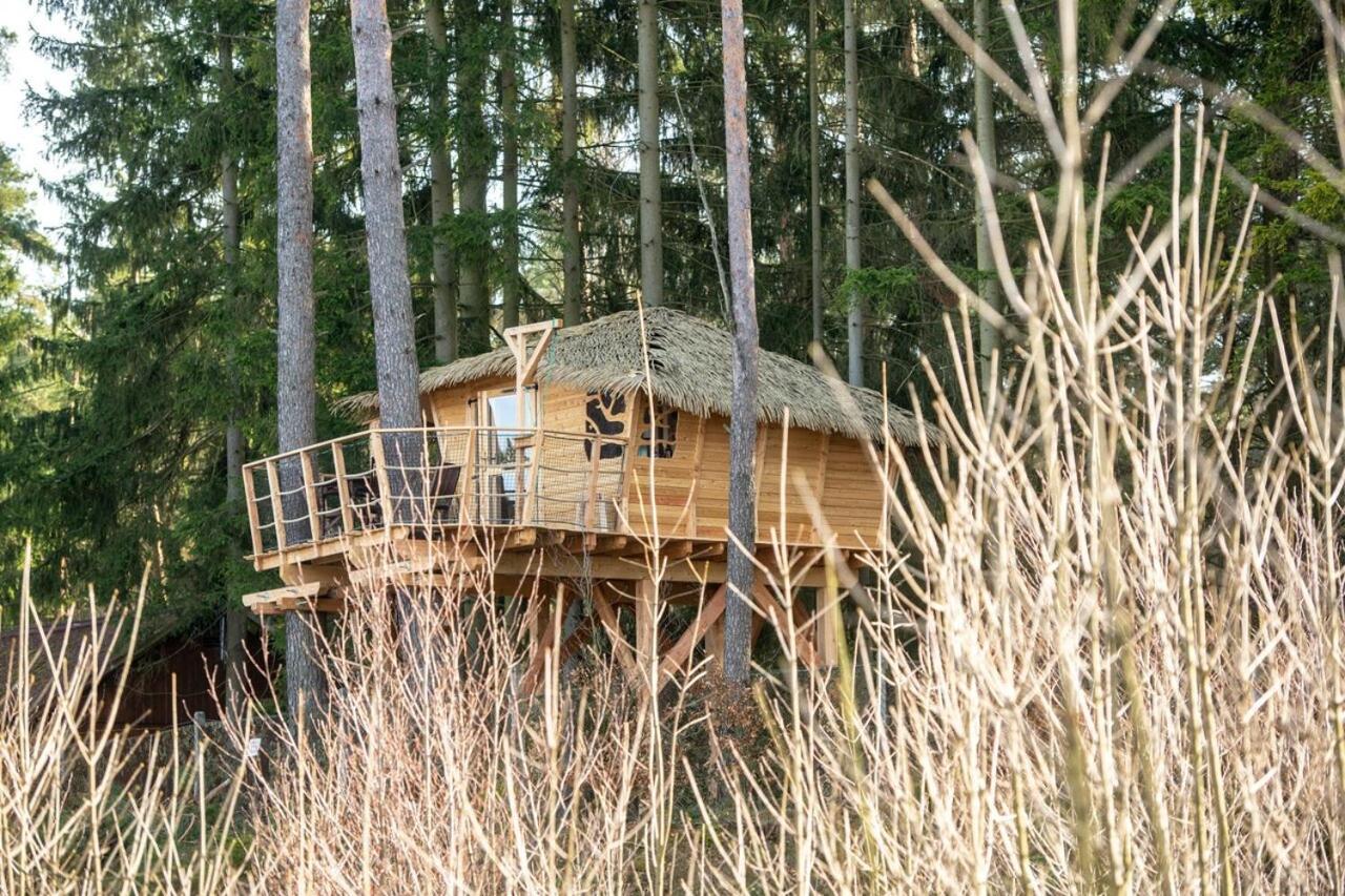 ホテル Treehouse U Rybnika Osecna エクステリア 写真