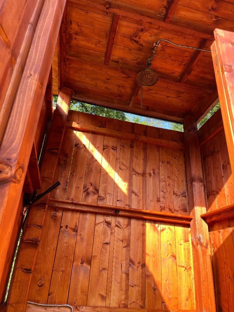 ホテル Treehouse U Rybnika Osecna エクステリア 写真